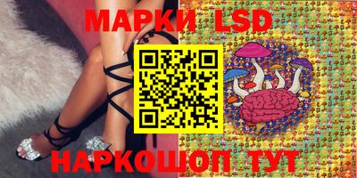 сатива Будённовск