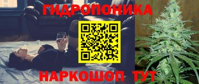 сатива Будённовск