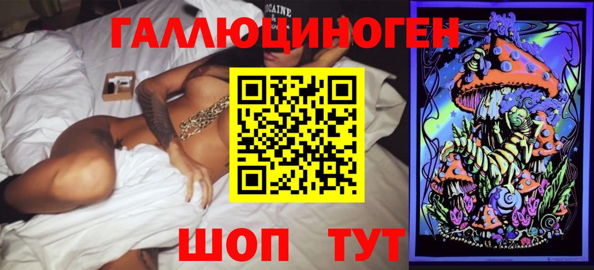Псилоцибиновые грибы Cubensis Слободской